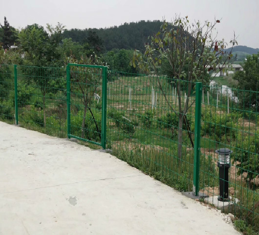 <b>陽新水果/蔬菜基地</b>